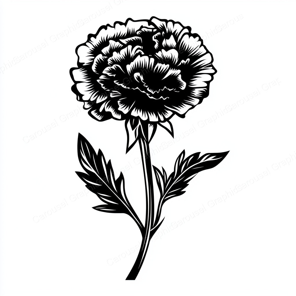 Carnation Vector Graphic preview