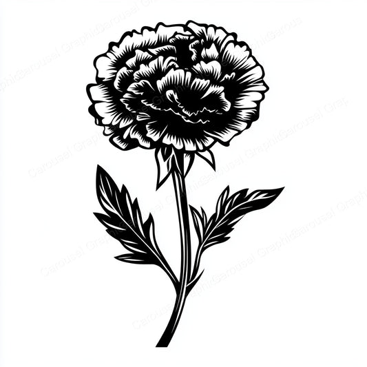 Carnation Vector Graphic preview