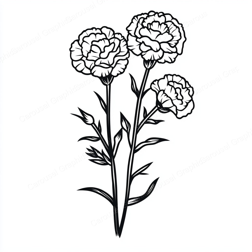 Carnation Vector Graphic preview