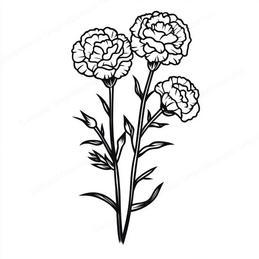 Carnation Vector Graphic preview