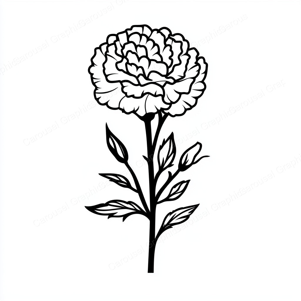 Carnation Vector Graphic preview