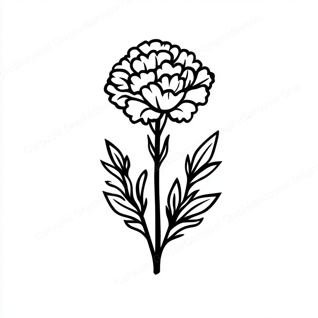 Carnation Vector Graphic preview