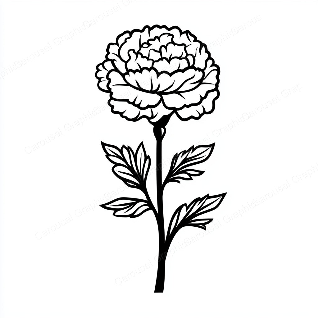 Carnation Vector Graphic preview