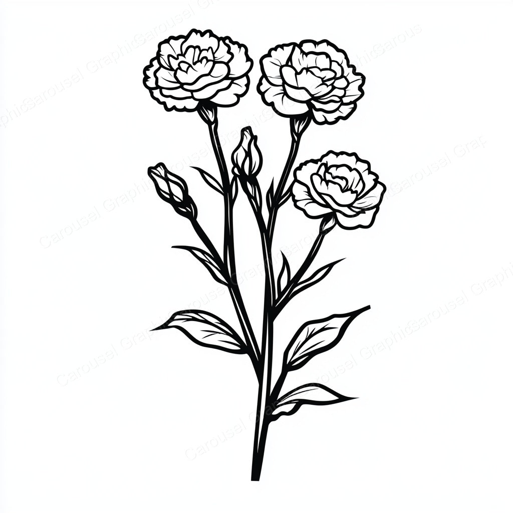 Carnation Vector Graphic preview