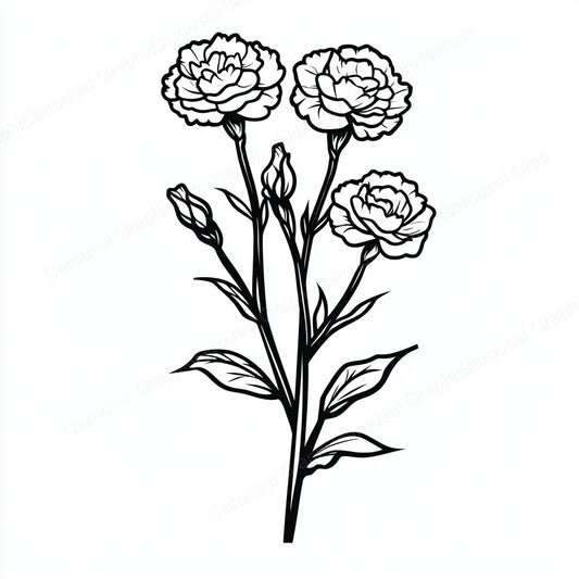 Carnation Vector Graphic preview