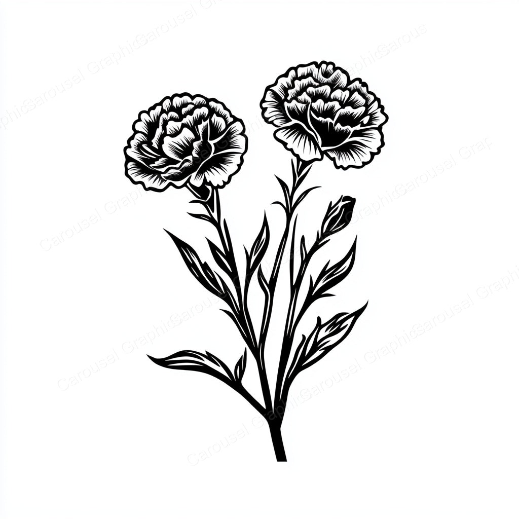 Carnation Vector Graphic preview