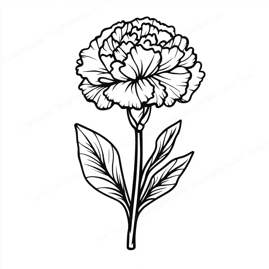 Carnation Vector Graphic preview