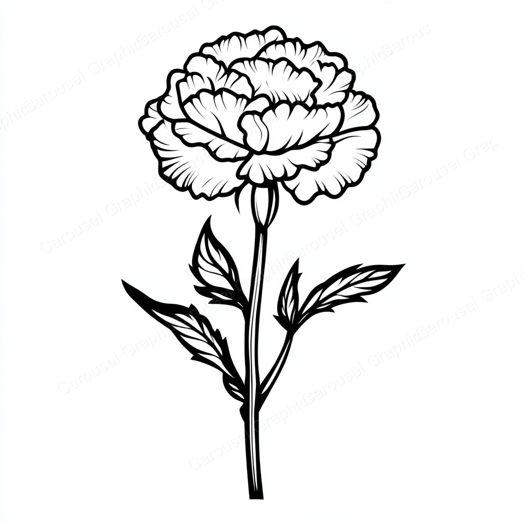 Carnation Vector Graphic preview