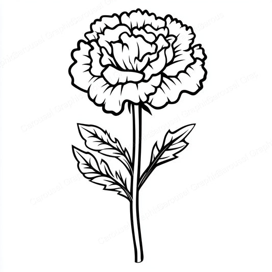 Carnation Vector Graphic preview