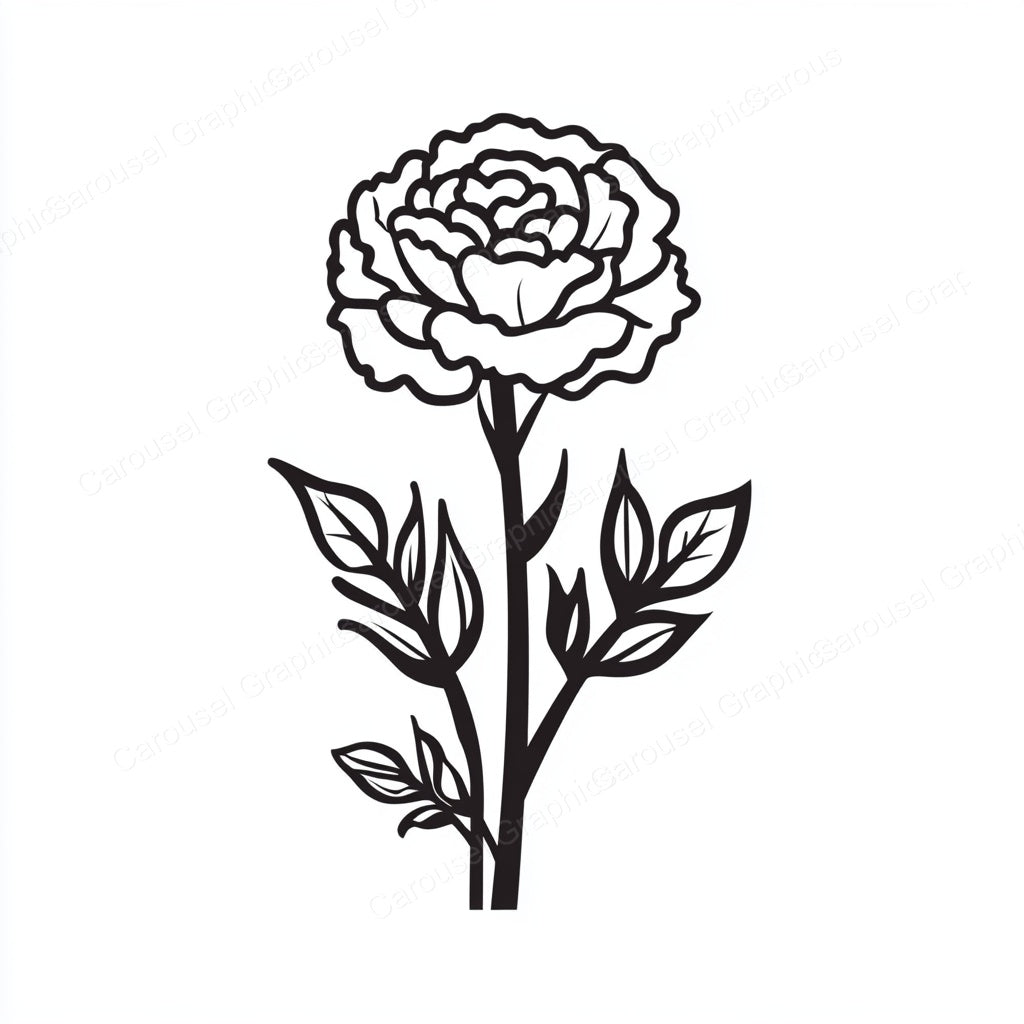 Carnation Vector Graphic preview