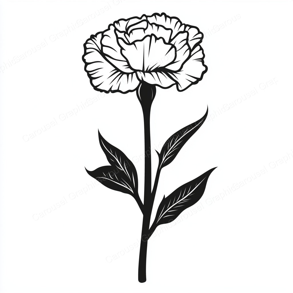 Carnation Vector Graphic preview