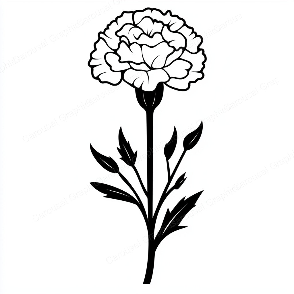 Carnation Vector Graphic preview