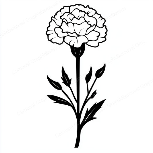 Carnation Vector Graphic preview