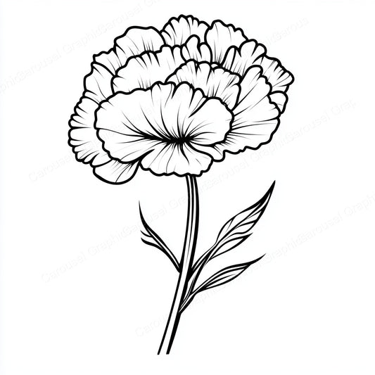 Carnation Vector Graphic preview