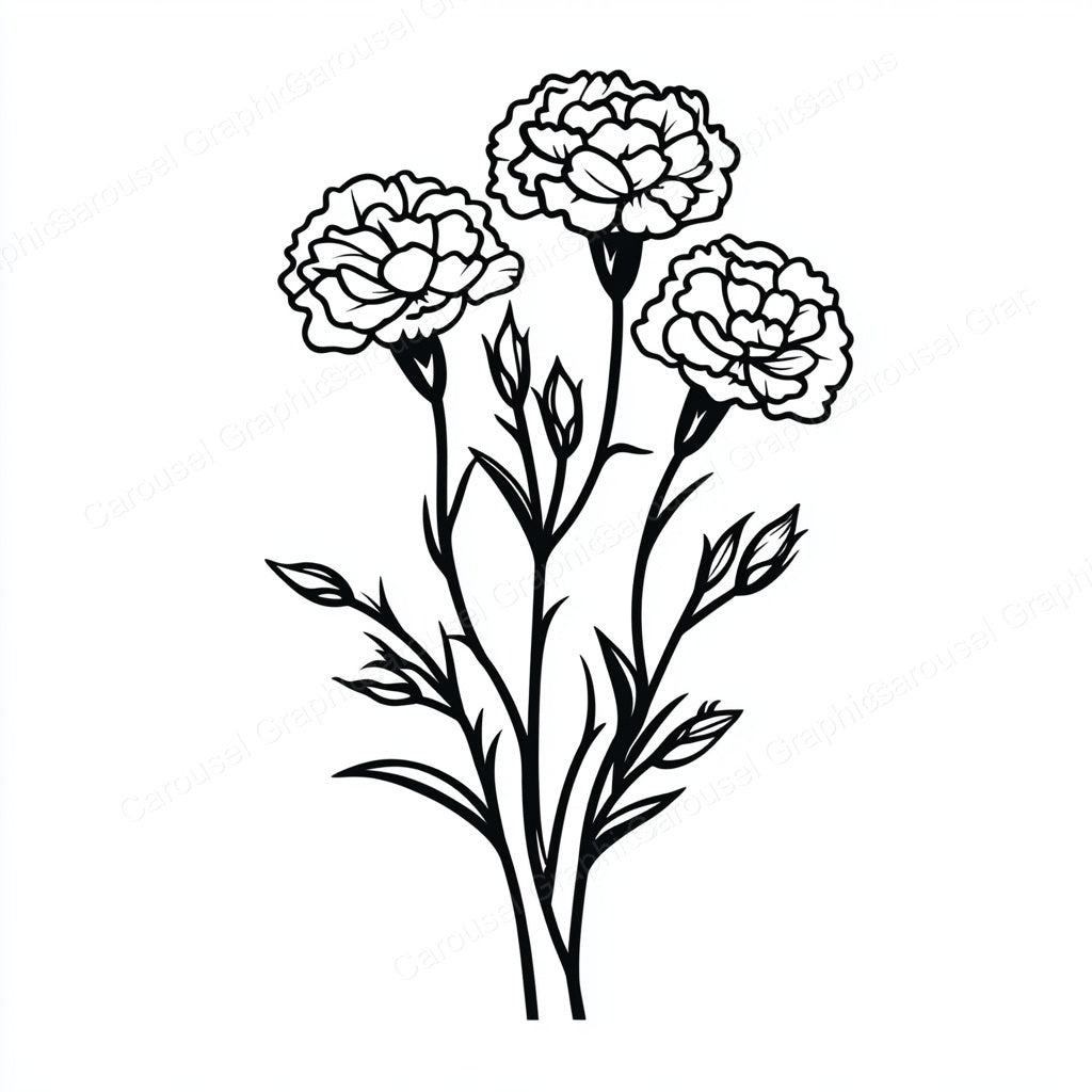 Carnation Vector Graphic preview