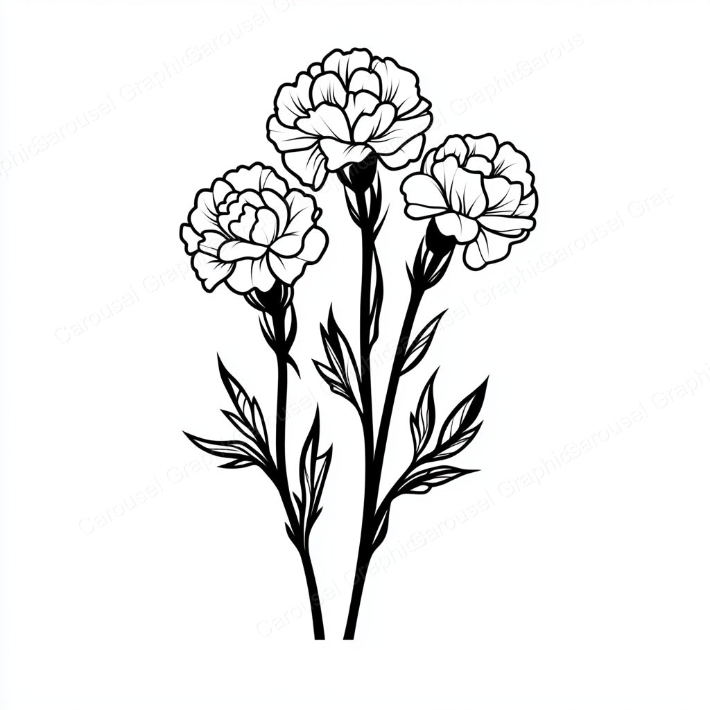 Carnation Vector Graphic preview