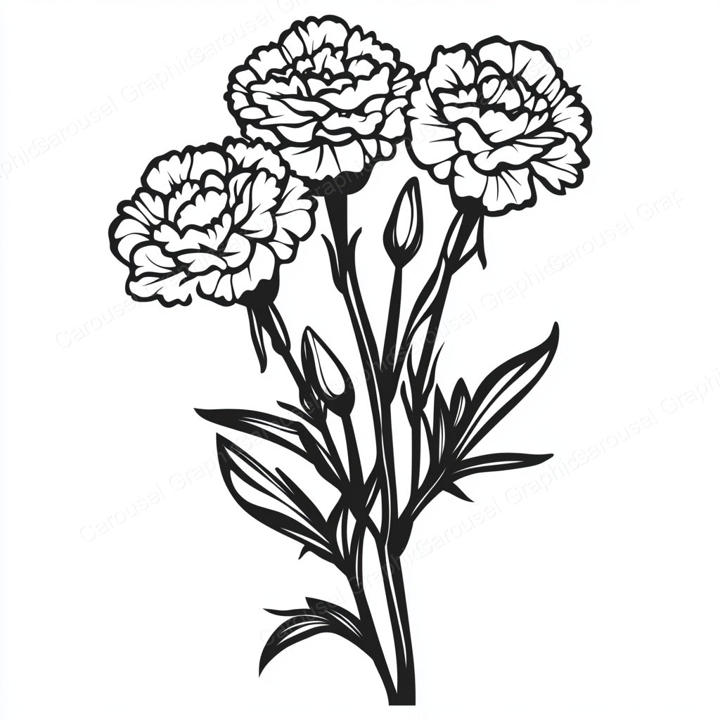 Carnation Vector Graphic preview