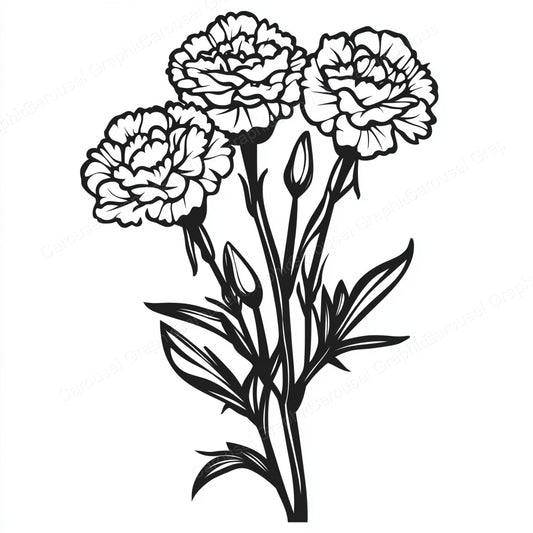Carnation Vector Graphic preview