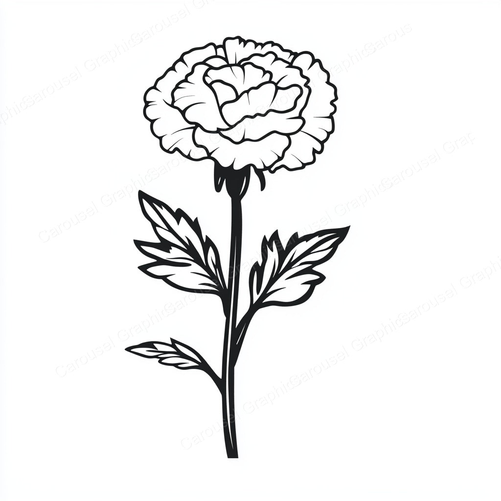 Carnation Vector Graphic preview