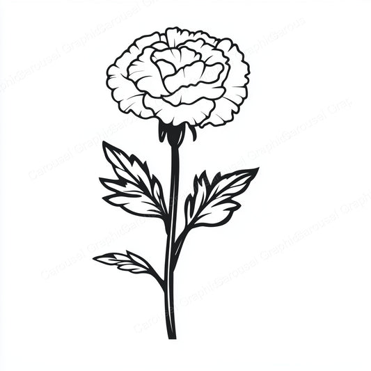Carnation Vector Graphic preview