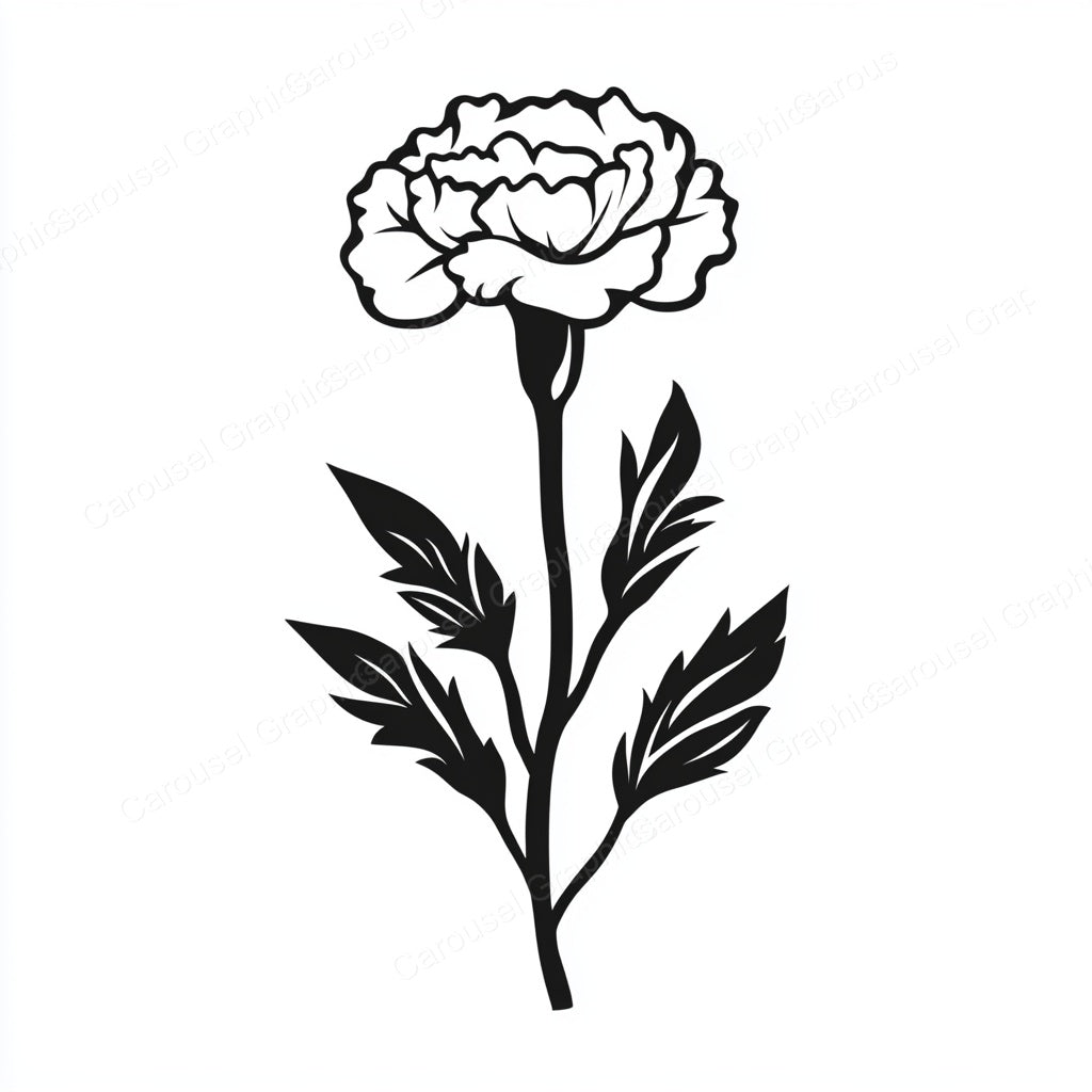 Carnation Vector Graphic preview