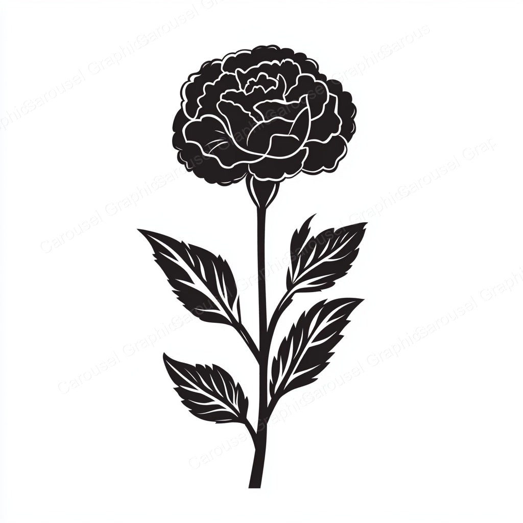 Carnation Vector Graphic preview