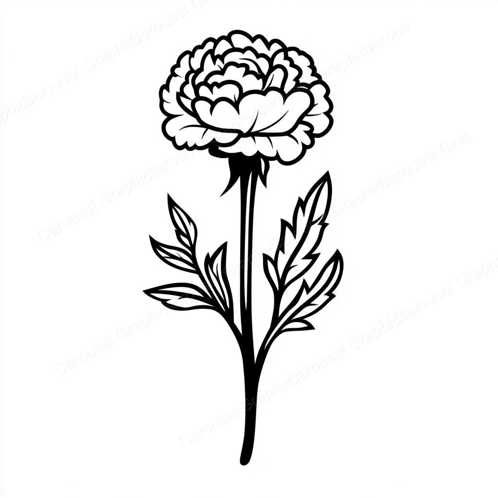 Carnation Vector Graphic preview