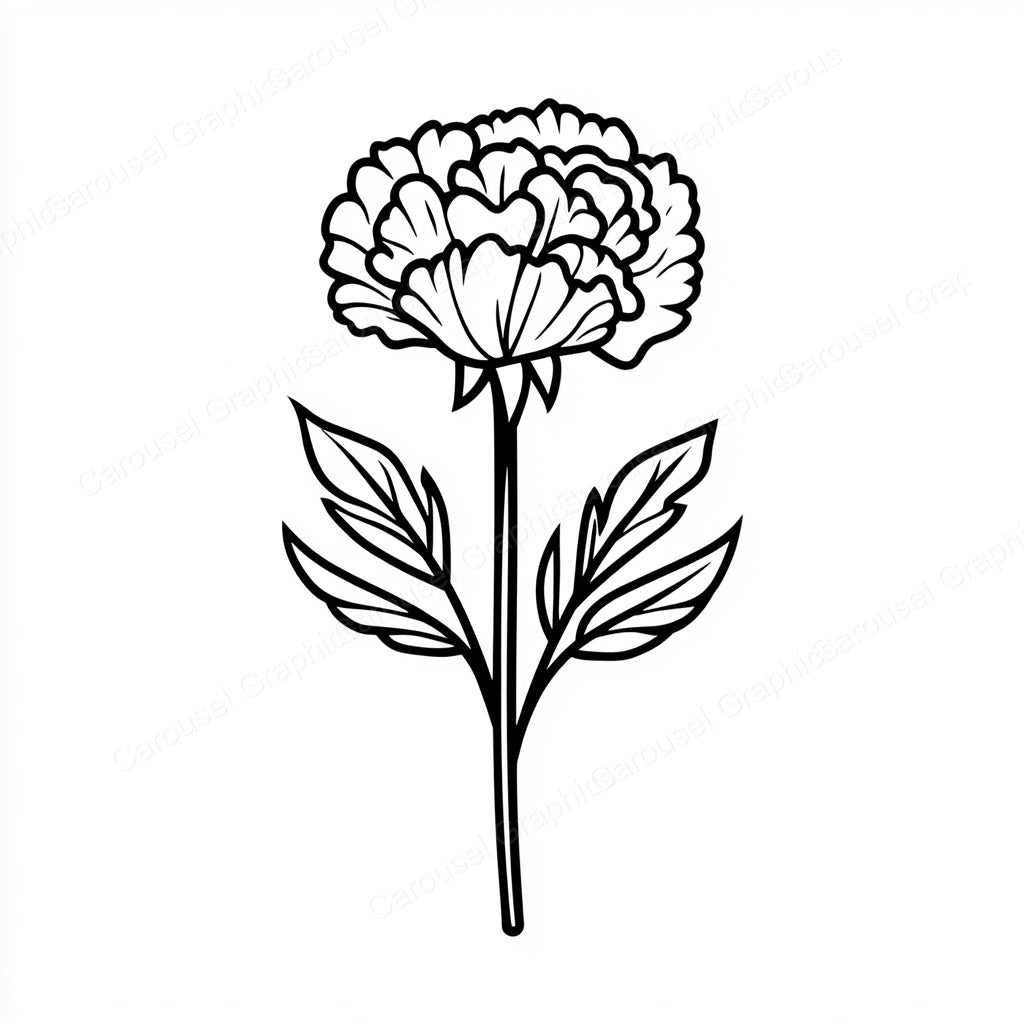 Carnation Vector Graphic preview