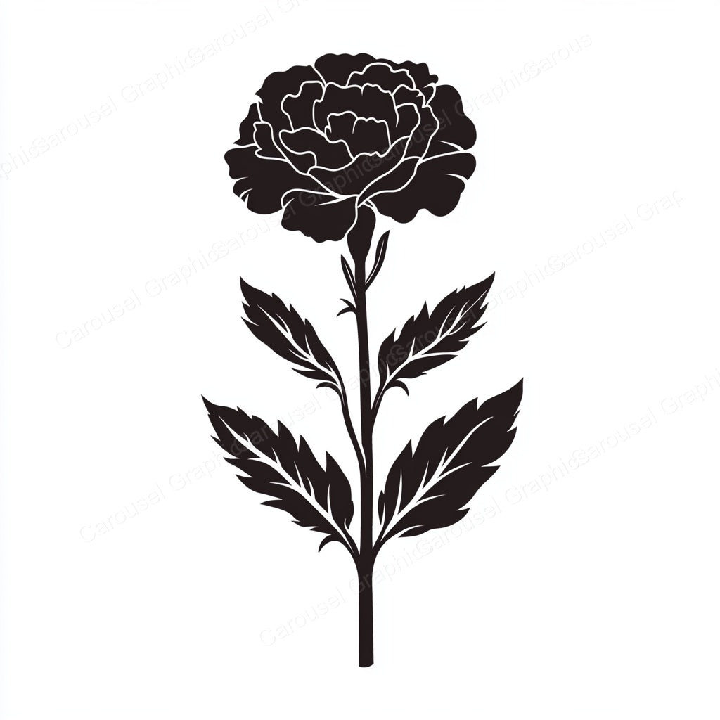 Carnation Vector Graphic preview