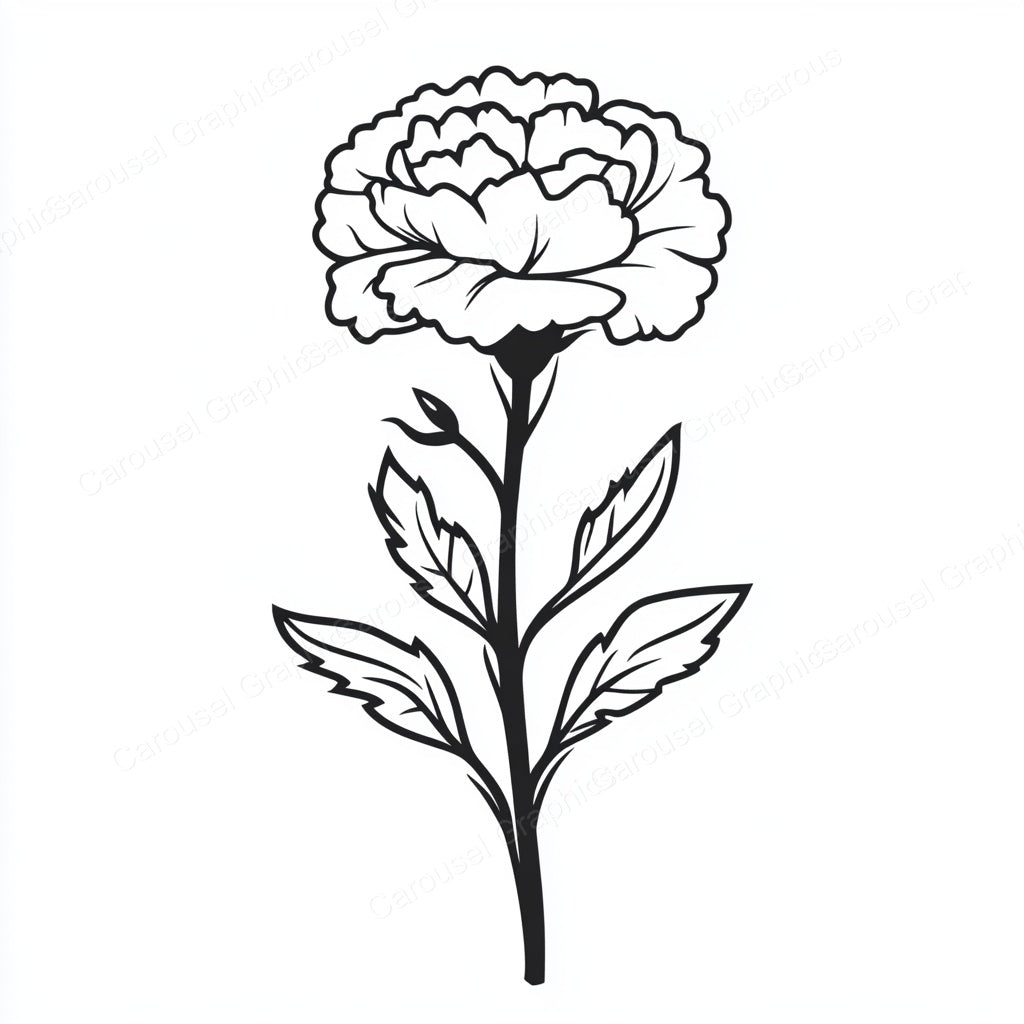 Carnation Vector Graphic preview