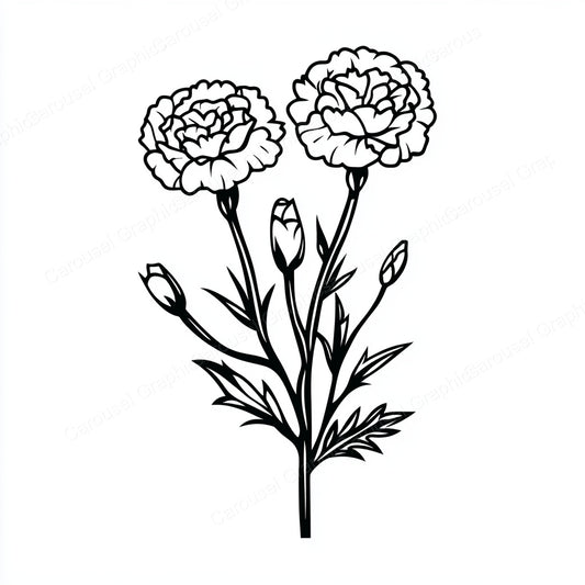 Carnation Vector Graphic preview