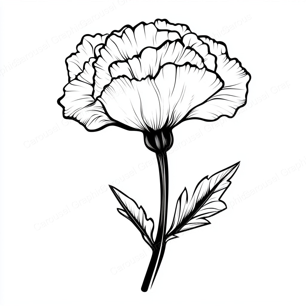 Carnation Vector Graphic preview