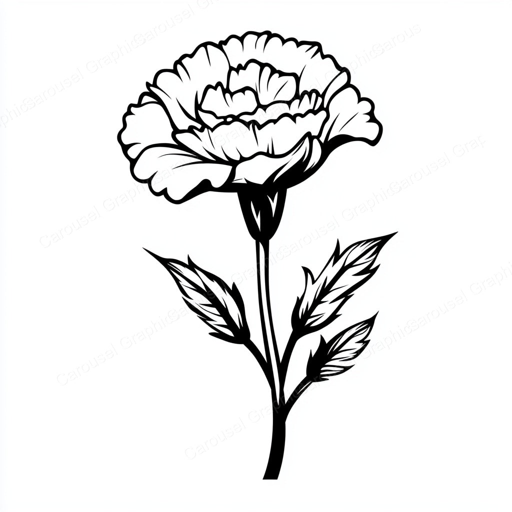 Carnation Vector Graphic preview