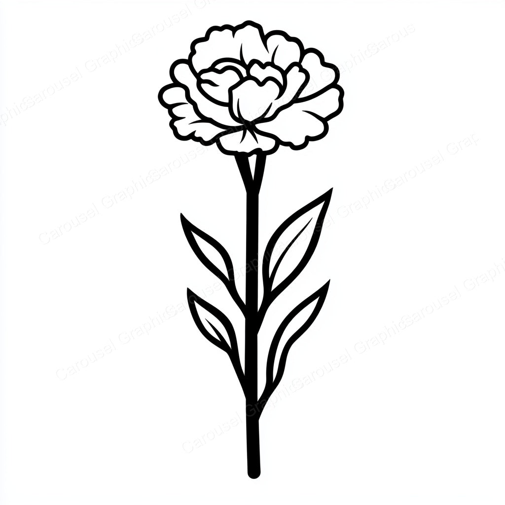 Carnation Vector Graphic preview