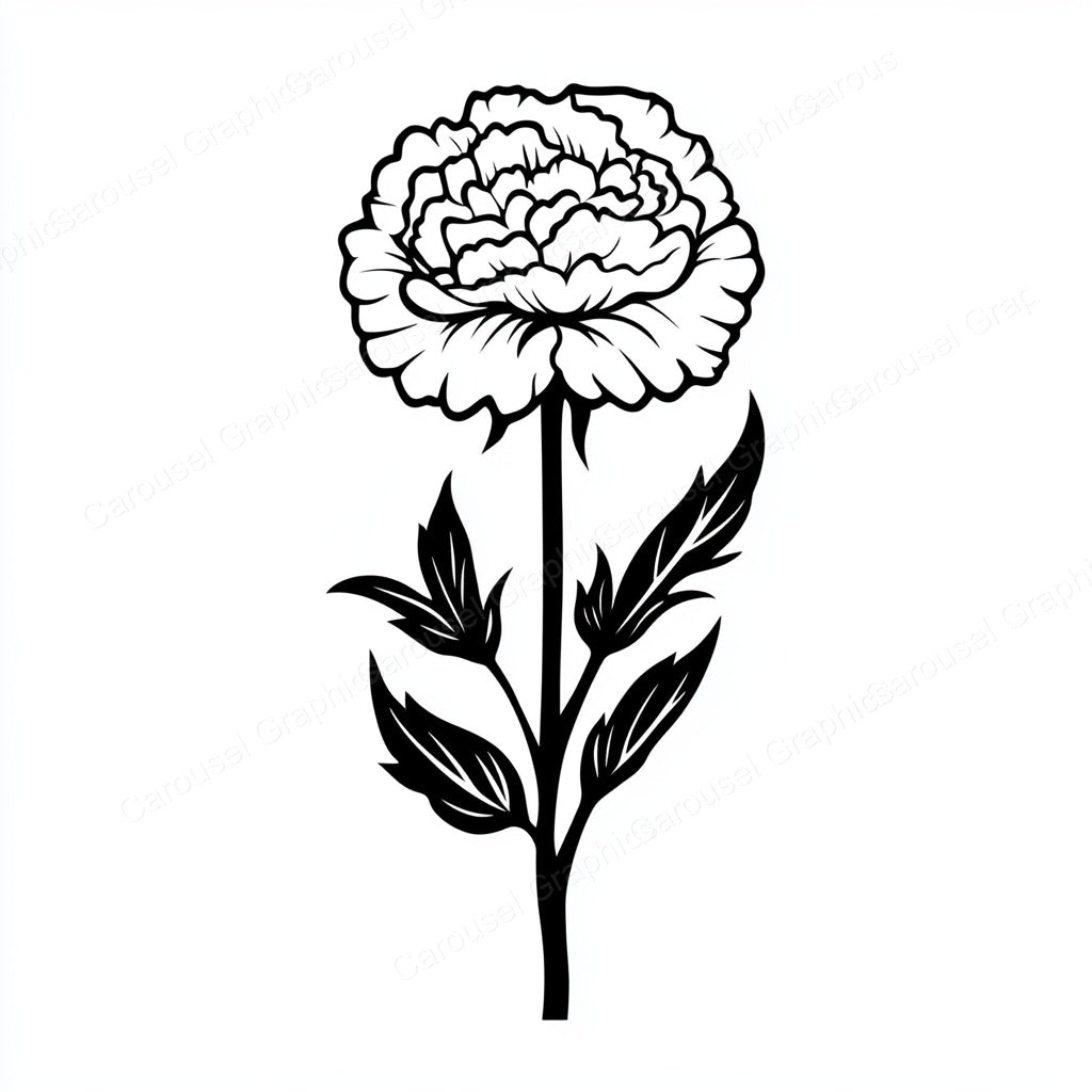 Carnation Vector Graphic preview