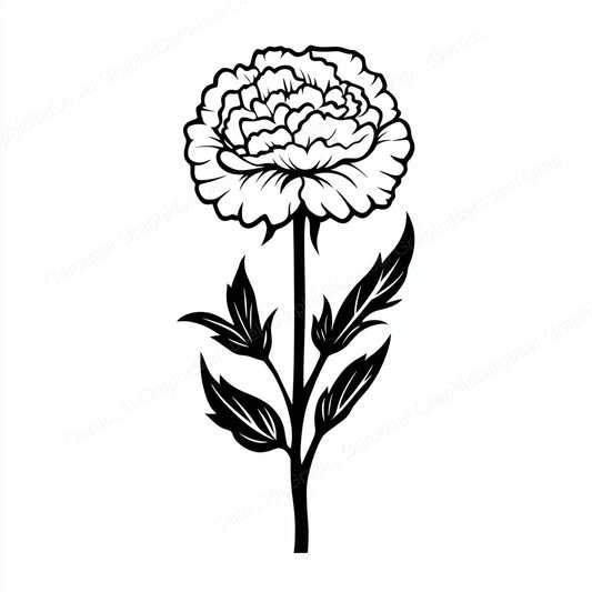 Carnation Vector Graphic preview