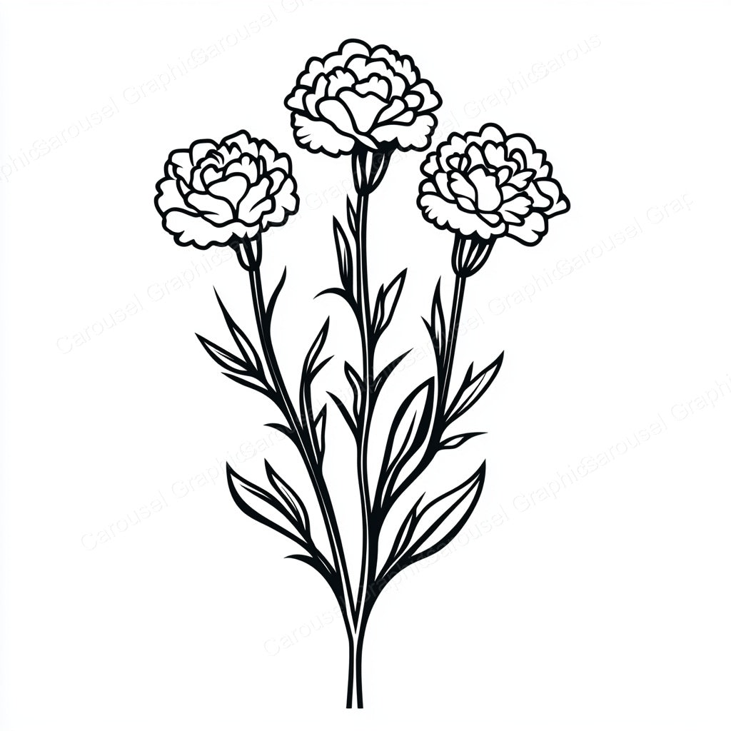 Carnation Vector Graphic preview
