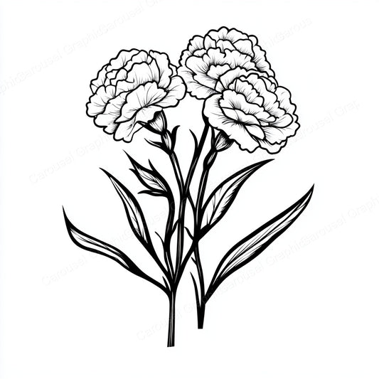 Carnation Vector Graphic preview