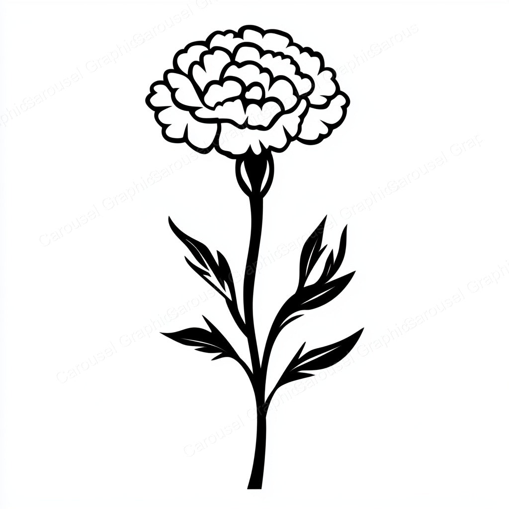 Carnation Vector Graphic preview