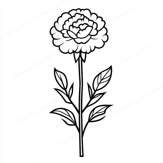 Carnation Vector Graphic preview