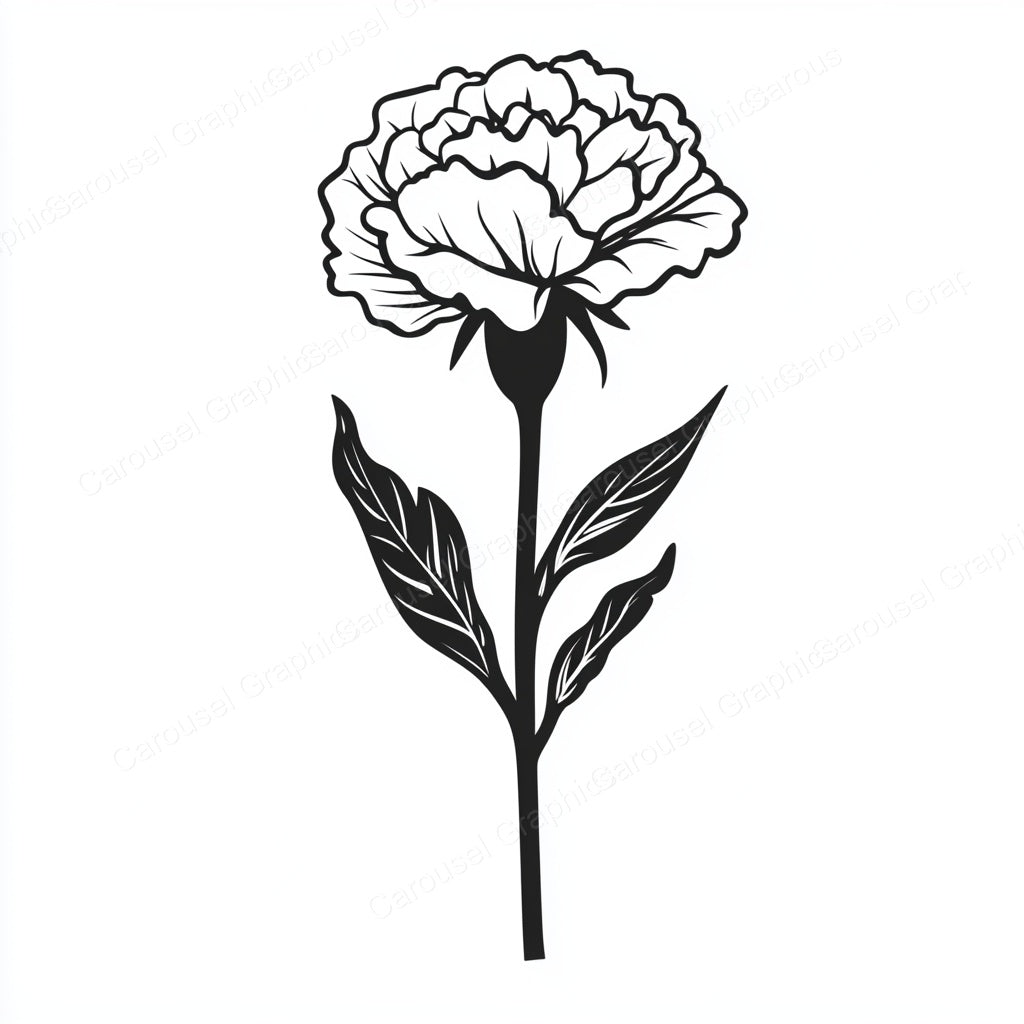 Carnation Vector Graphic preview