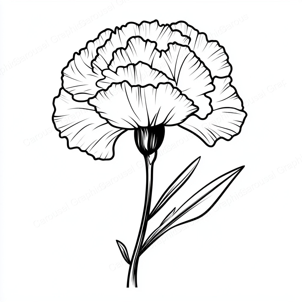 Carnation Vector Graphic preview