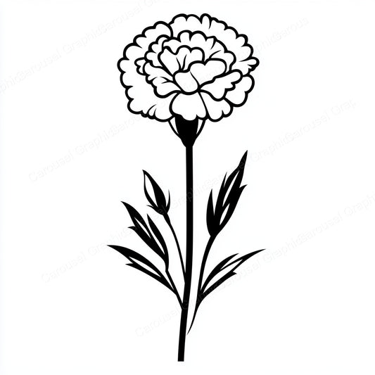 Carnation Vector Graphic preview