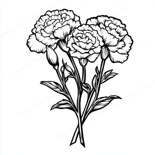 Carnation Vector Graphic preview