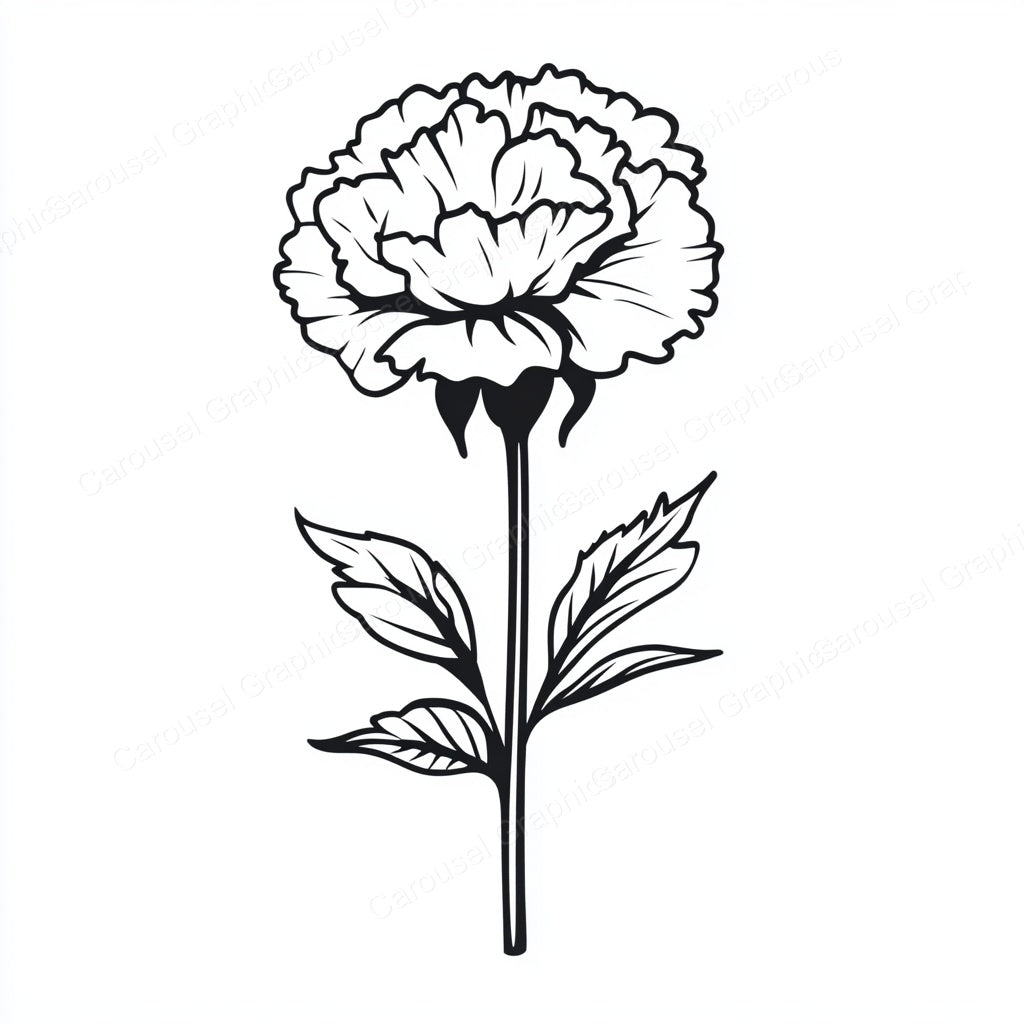 Carnation Vector Graphic preview