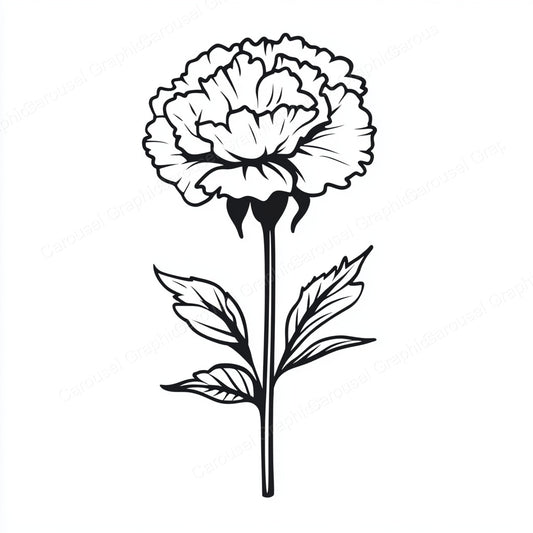 Carnation Vector Graphic preview