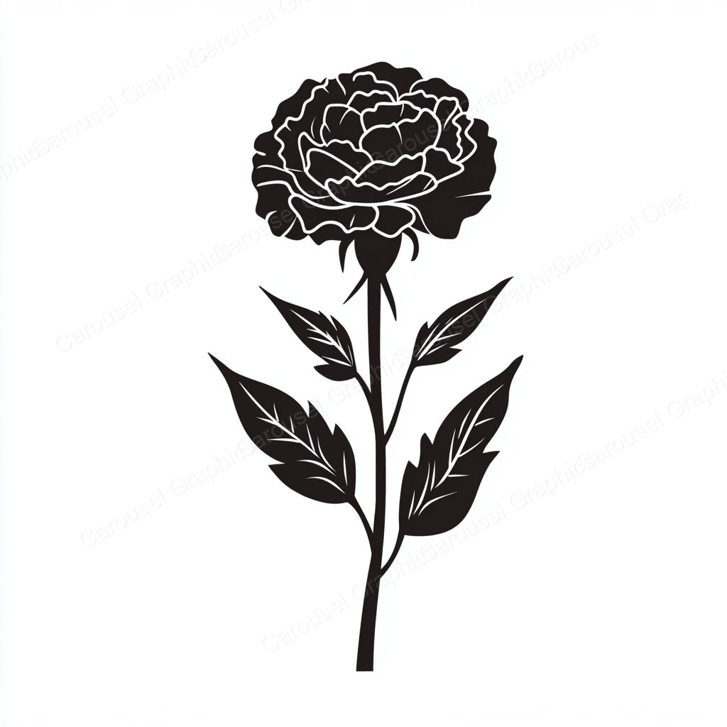 Carnation Vector Graphic preview