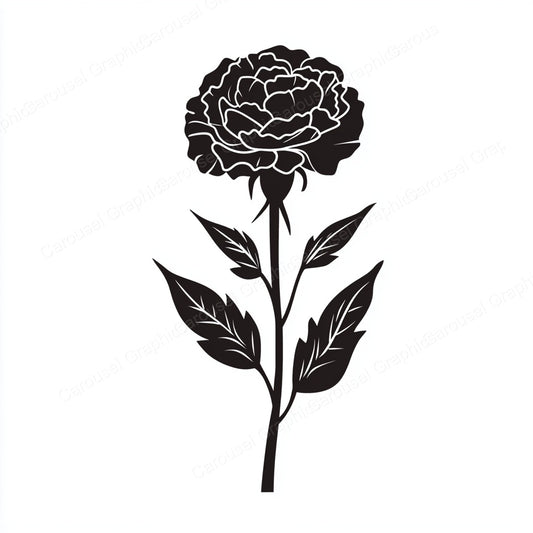 Carnation Vector Graphic preview