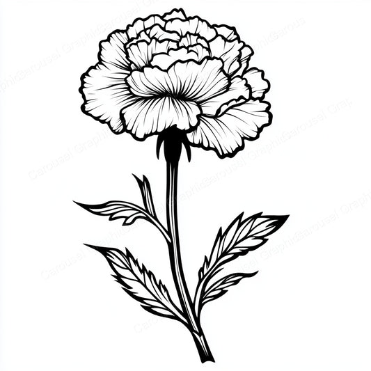 Carnation Vector Graphic preview