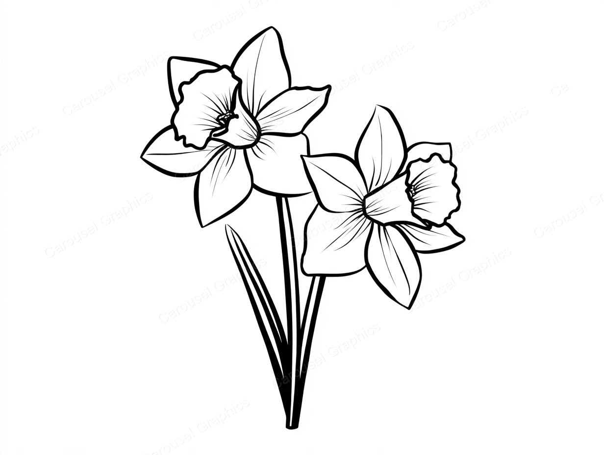 Daffodil Vector Graphic preview
